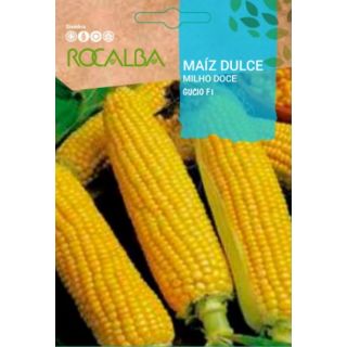 Compra MAÍZ DULCE GUCCIO F1 (6 gr.) en la tienda online Fito Agrícola