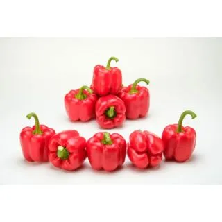 Compra ARDEI MATGA F1 (1.000 semințe). en la tienda online Fito Agrícola
