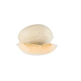 Compra MELÓN BRINCHES F-1 (1000 Semillas). en la tienda online Fito Agrícola