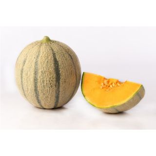 Compra MELÓN CLAUDIO F-1 (1000 Semillas). en la tienda online Fito Agrícola