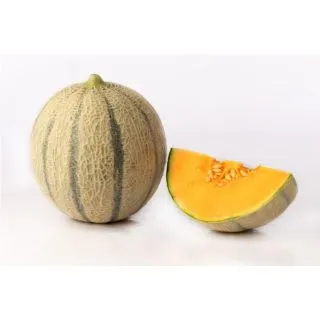 Compra MELÓN CLAUDIO F-1 (1000 Semillas). en la tienda online Fito Agrícola