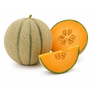 Compra MELÓN CORMORAN F1 No Tratado (1.000 Semillas) en la tienda online Fito Agrícola