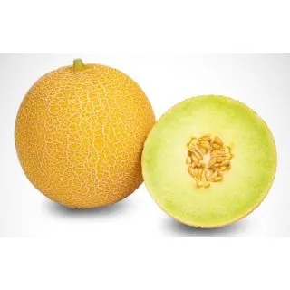 Compra MELÓN MOJACAR F-1 (1.000 Semillas) en la tienda online Fito Agrícola