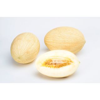 Compra MELÓN GRAND FARIA F1 (1.000 Semillas). en la tienda online Fito Agrícola