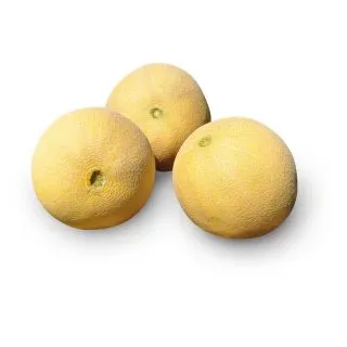 Compra MELON JUCAR RZ F1 Precisión (1.000 Semillas). en la tienda online Fito Agrícola