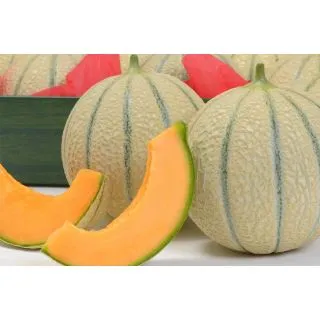 Compra MELÓN MEXEL F1 (1.000 Semillas). en la tienda online Fito Agrícola