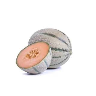 Compra MELÓN PANIOL RZ F1 Precisión (1.000 Semillas). en la tienda online Fito Agrícola