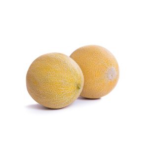 Compra MELON TELENO RZ Precisión (1.000 Semillas). en la tienda online Fito Agrícola