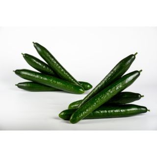 Compra PEPINO METRIC F1 (1.000 Semillas). en la tienda online Fito Agrícola