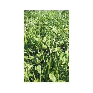 Compra PASTOREO SIEGA ANUAL SUELO NEUTRO ALCALINO (25 Kgr.). en la tienda online Fito Agrícola