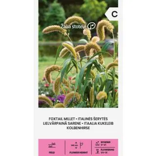 Compra MIJO COLA DE ZORRA (0,5 gr. - Cerca de 180 Semillas). en la tienda online Fito Agrícola