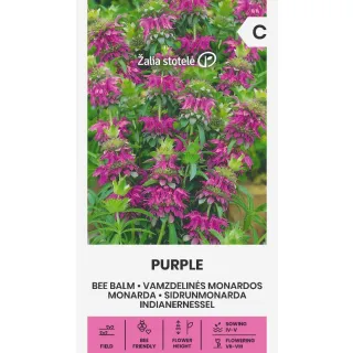 Compra BALSAM DE ALBINĂ PURPURIU (0,3 gr. - ambalaj de 700 de semințe). en la tienda online Fito Agrícola