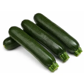 Compra CALABACÍN MUSA F-1 (1.000 Semillas) en la tienda online Fito Agrícola