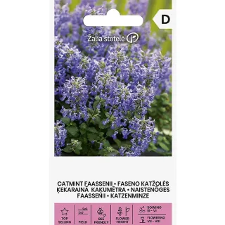 Compra NEPETA DE FAASSEN (0,4 gr. - Carca de 440 Semillas) en la tienda online Fito Agrícola