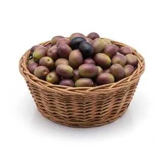 Compra OLIVO VERDIAL en la tienda online Fito Agrícola