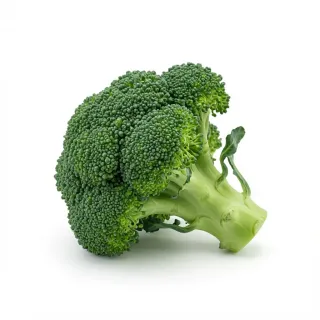 Compra BROCOLI ORANTES RZ Precision (2.500 semințe). en la tienda online Fito Agrícola