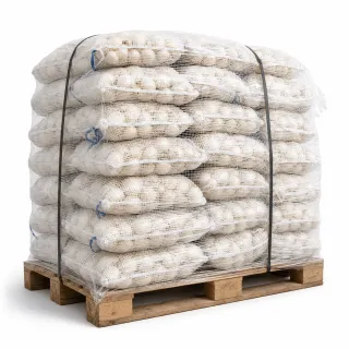 Compra CEAPĂ DE CALÇOT Soiul RESCASENS (Aproximativ 25 kg) en la tienda online Fito Agrícola