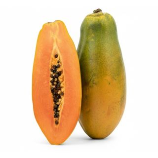Compra PAPAYA MARADOL en la tienda online Fito Agrícola