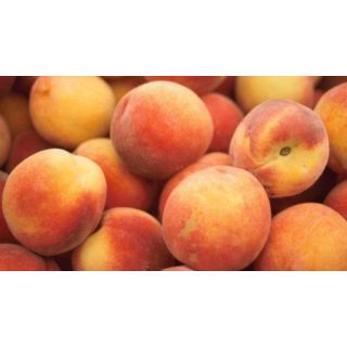 Compra MELOCOTONERO ROMEA en la tienda online Fito Agrícola