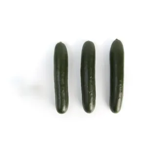 Compra PEPINO AZULAN RZ F1 Precisión (1000 Semillas). en la tienda online Fito Agrícola