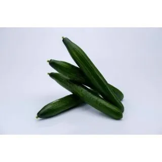 Compra PEPINO BELAKO F1 (1.000 Semillas). en la tienda online Fito Agrícola