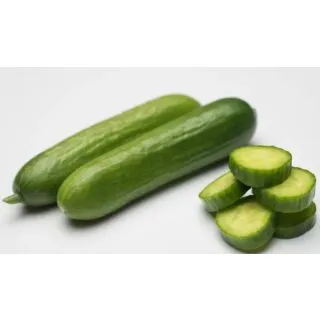 Compra PEPINO EQUIPE F1 (1.000 Semillas) en la tienda online Fito Agrícola