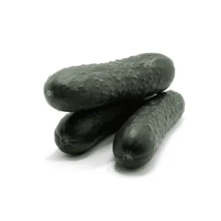 Compra PEPINO ESPAÑOLO F1 (1000 Semillas) en la tienda online Fito Agrícola