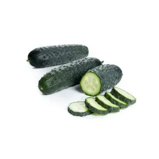 Compra PEPINO HAKKINEN RZ F1 Precisión (1000 Semillas). en la tienda online Fito Agrícola