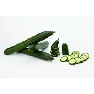 Compra PEPINO IZAL F1 (1.000 Semillas). en la tienda online Fito Agrícola