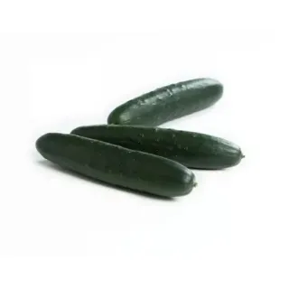 Compra PEPINO KOREMAN RZ F1 Precisión (1.000 Semillas). en la tienda online Fito Agrícola