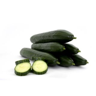 Compra PEPINO PONTIUS F1 (1.000 Semillas) en la tienda online Fito Agrícola