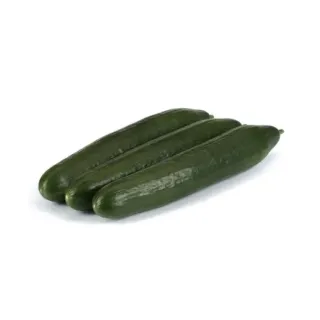 Compra PEPINO SURAZO RZ F1 Precisión (1.000 Semillas). en la tienda online Fito Agrícola