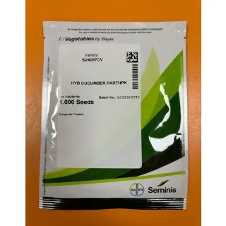 Compra PEPINO SV4097CV F1 (1000 Semillas). en la tienda online Fito Agrícola