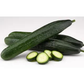 Compra PEPINO TANKER F1 (1.000 Semillas) en la tienda online Fito Agrícola