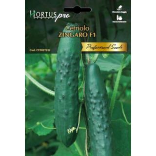 Compra PEPINO ZINGARO F1 (1 gr.) en la tienda online Fito Agrícola