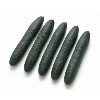 Compra PEPINO SUMUN F1 (1000 Semillas). en la tienda online Fito Agrícola
