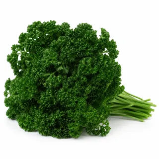 Compra PEREJIL RIZADO VERDE OSCURO RAZA ROBUST Peliculado (250 gr.). en la tienda online Fito Agrícola
