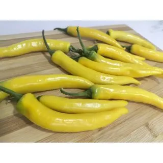 Compra ARDEI GUALDA F-1 (1.000 semințe). en la tienda online Fito Agrícola