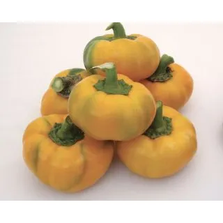 Compra PIMIENTO TOPEPO GIALLO (ÑORA) (5.000 Semillas) en la tienda online Fito Agrícola