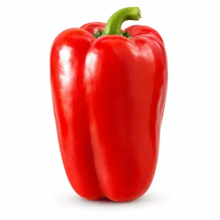 Compra ARDEI ACHILLE F1 (1000 semințe). en la tienda online Fito Agrícola