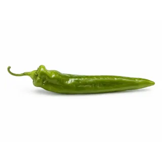 Compra ARDEI ALFEREZ F1 (1000 semințe). en la tienda online Fito Agrícola
