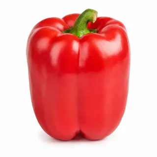 Compra ARDEI ALMENARA (Ion) F1 Netratat (1.000 Semințe) en la tienda online Fito Agrícola