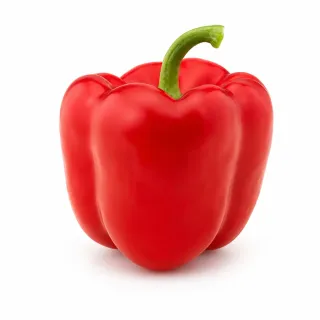 Compra ARDEI AMON (Ion) F1 Netratat (1.000 Semințe). en la tienda online Fito Agrícola