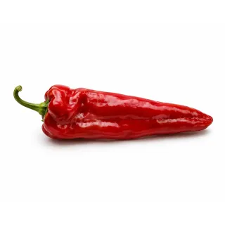 Compra ARDEI ANAKIN F1 (1000 semințe). en la tienda online Fito Agrícola