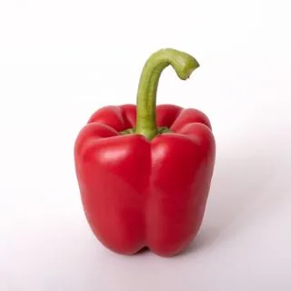 Compra ARDEI ARAEL F-1 (1000 semințe) en la tienda online Fito Agrícola