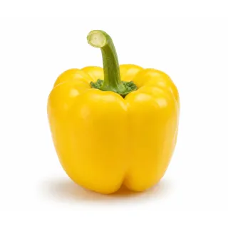 Compra ARDEI ARQUIMEDES F1 (1000 semințe). en la tienda online Fito Agrícola