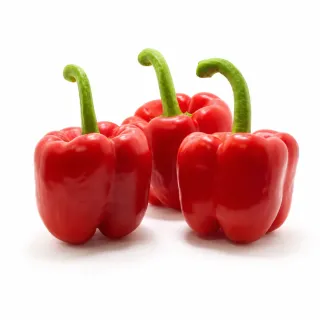 Compra ARDEI ARQUERO F1 (1.000 semințe). en la tienda online Fito Agrícola