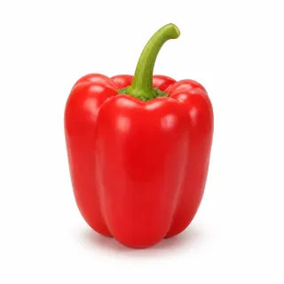 Compra ARDEI ASCALON (Ion) F1 Netratat (1.000 Semințe). en la tienda online Fito Agrícola