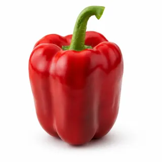 Compra ARDEI AYOSA (Ion) F1 Netratat (1.000 Semințe). en la tienda online Fito Agrícola