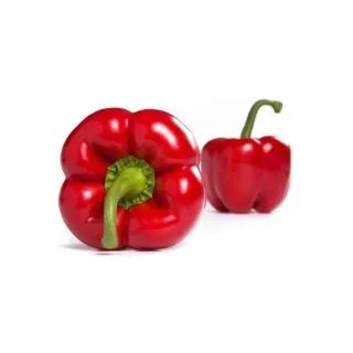 Compra ARDEI BAIAO RZ F1 Precizie (1.000 Semințe). en la tienda online Fito Agrícola